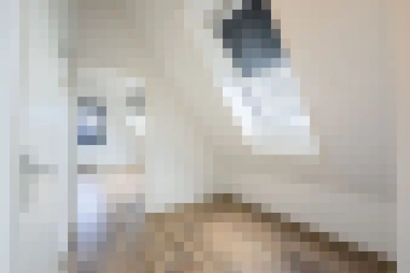 Morgenerf 5 Abcoude thumbnail 45