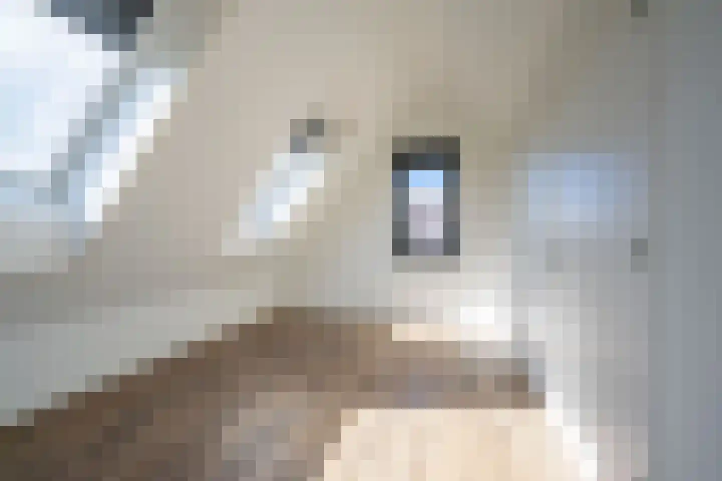 Morgenerf 5 Abcoude thumbnail 47