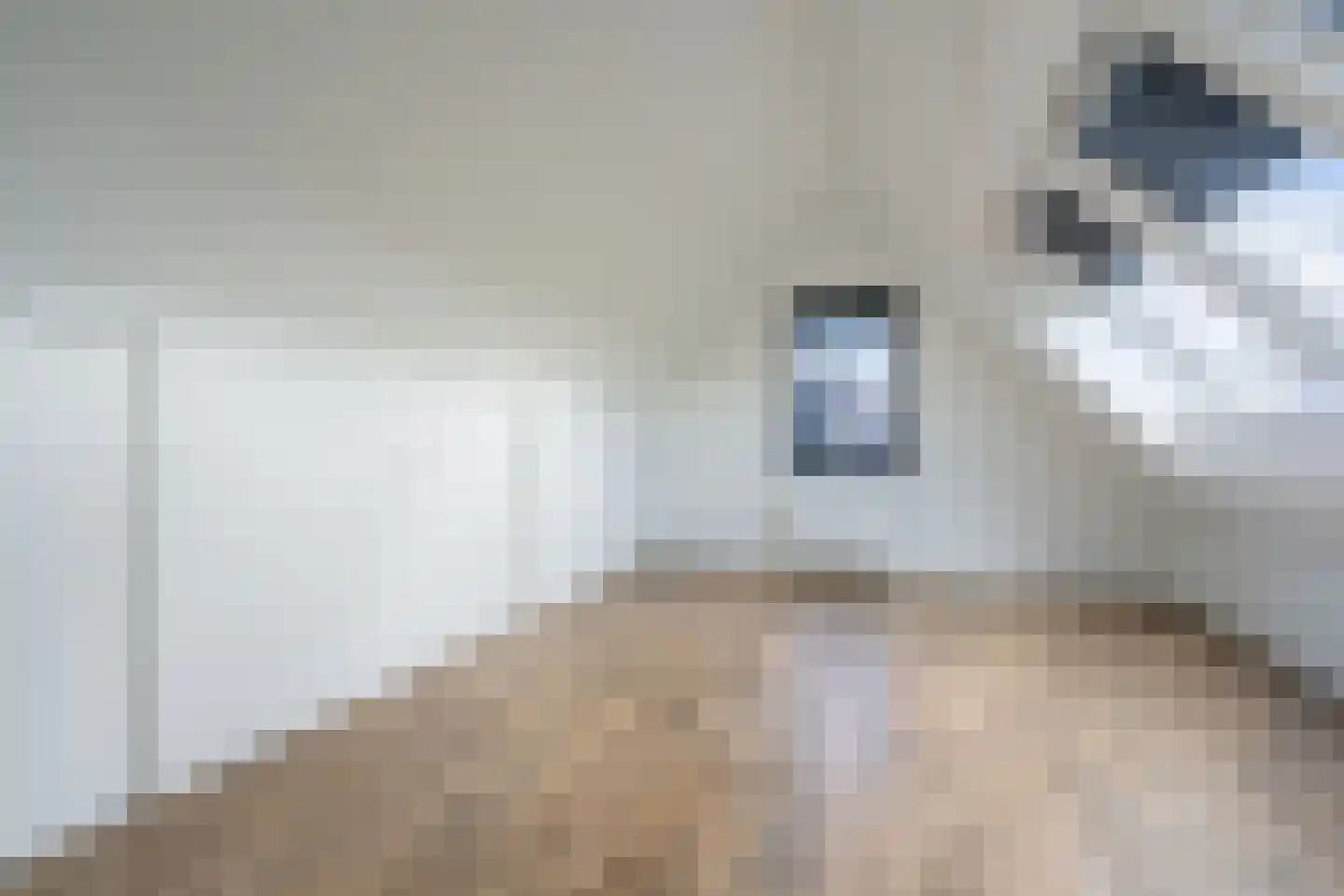 Morgenerf 5 Abcoude thumbnail 53