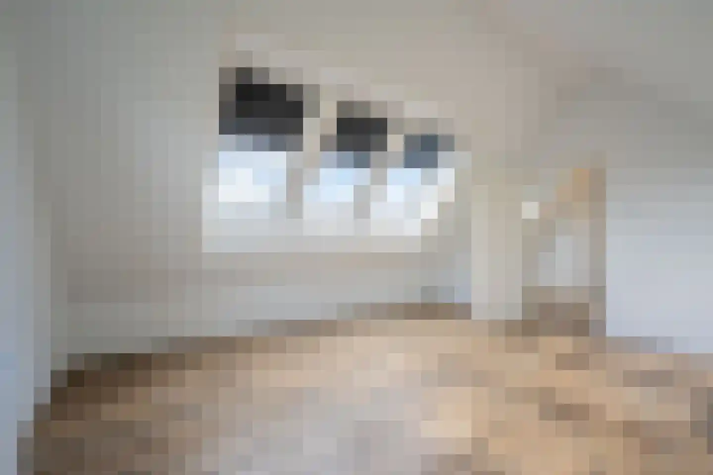 Morgenerf 5 Abcoude thumbnail 54