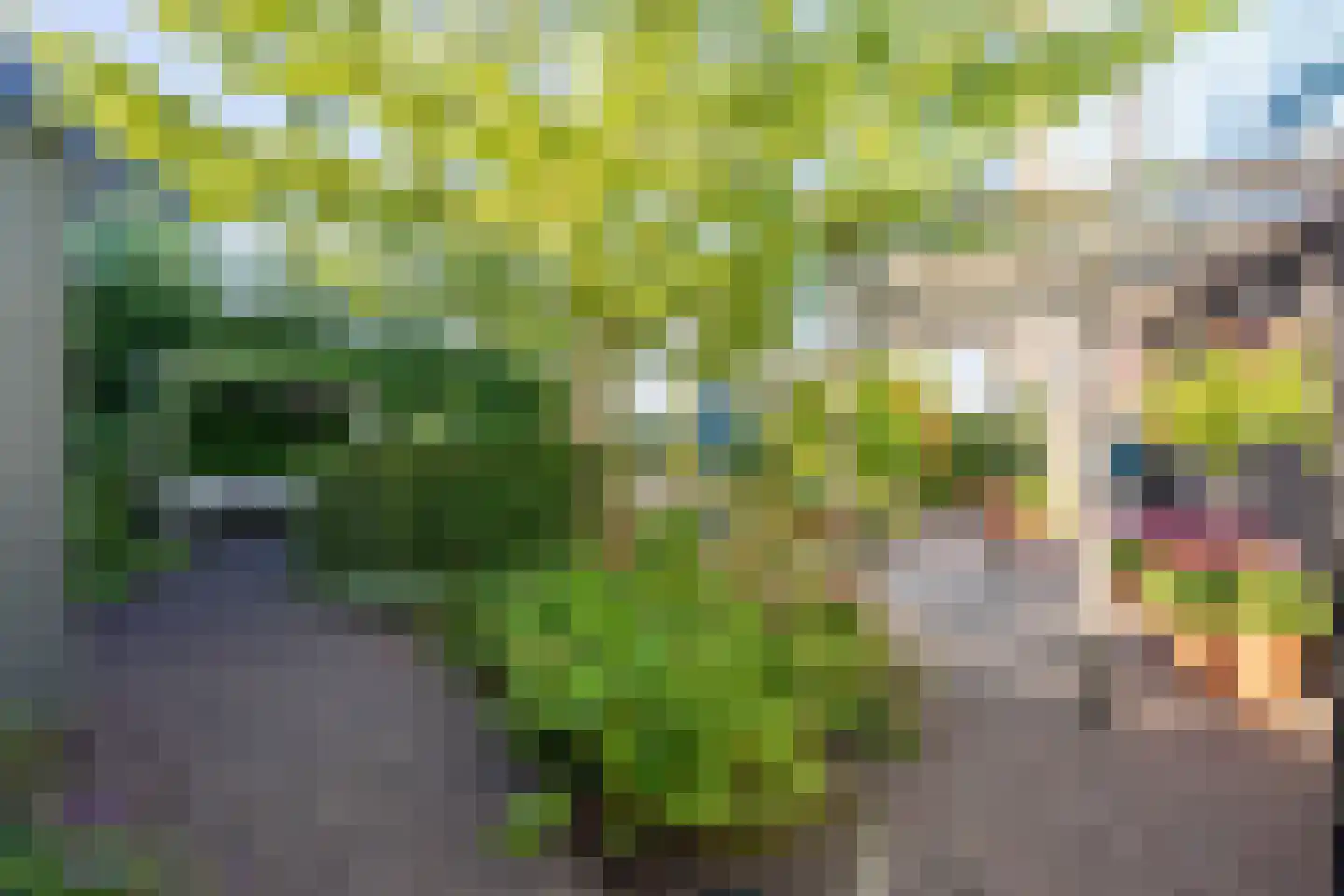 Morgenerf 5 Abcoude thumbnail 67