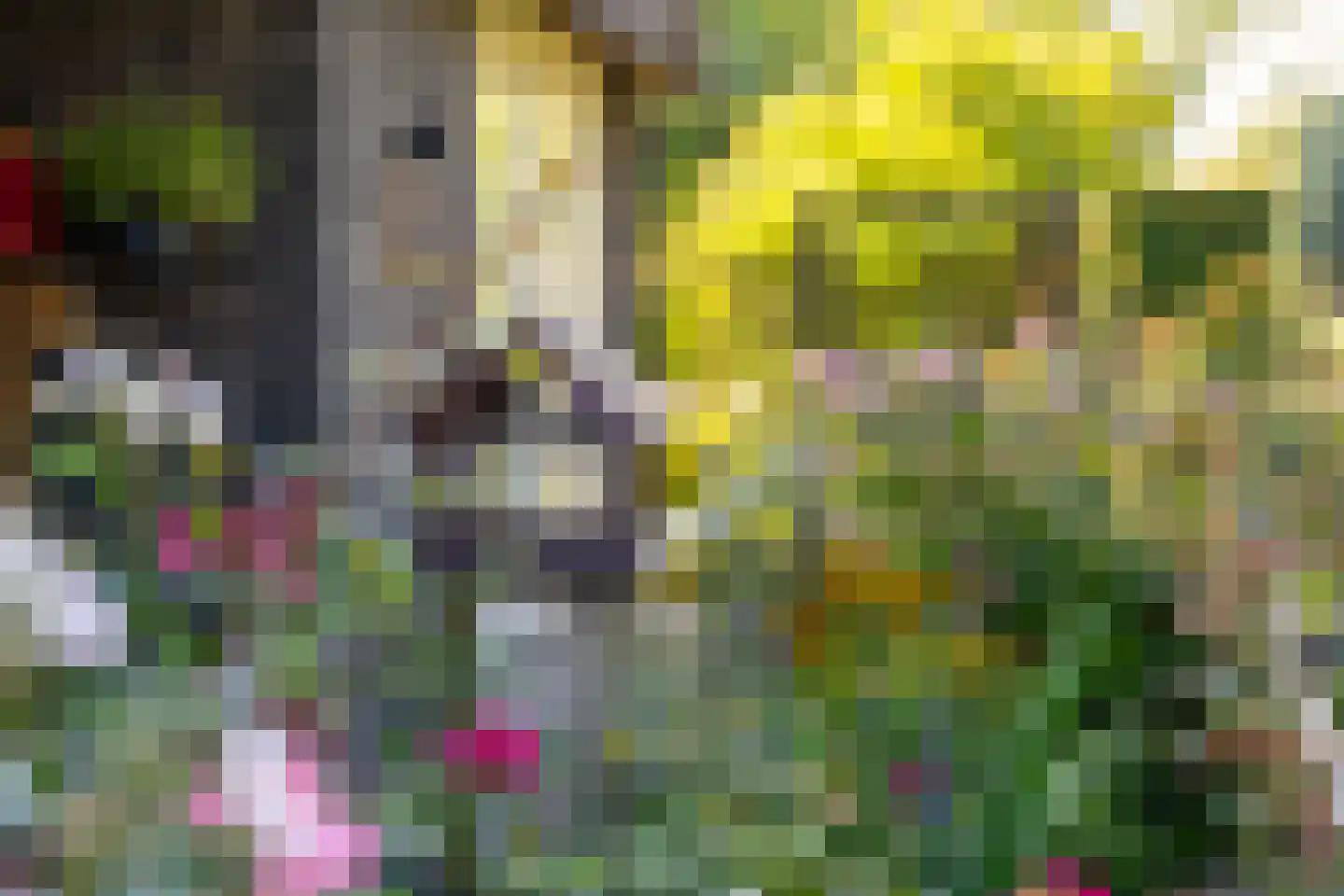Morgenerf 5 Abcoude thumbnail 74