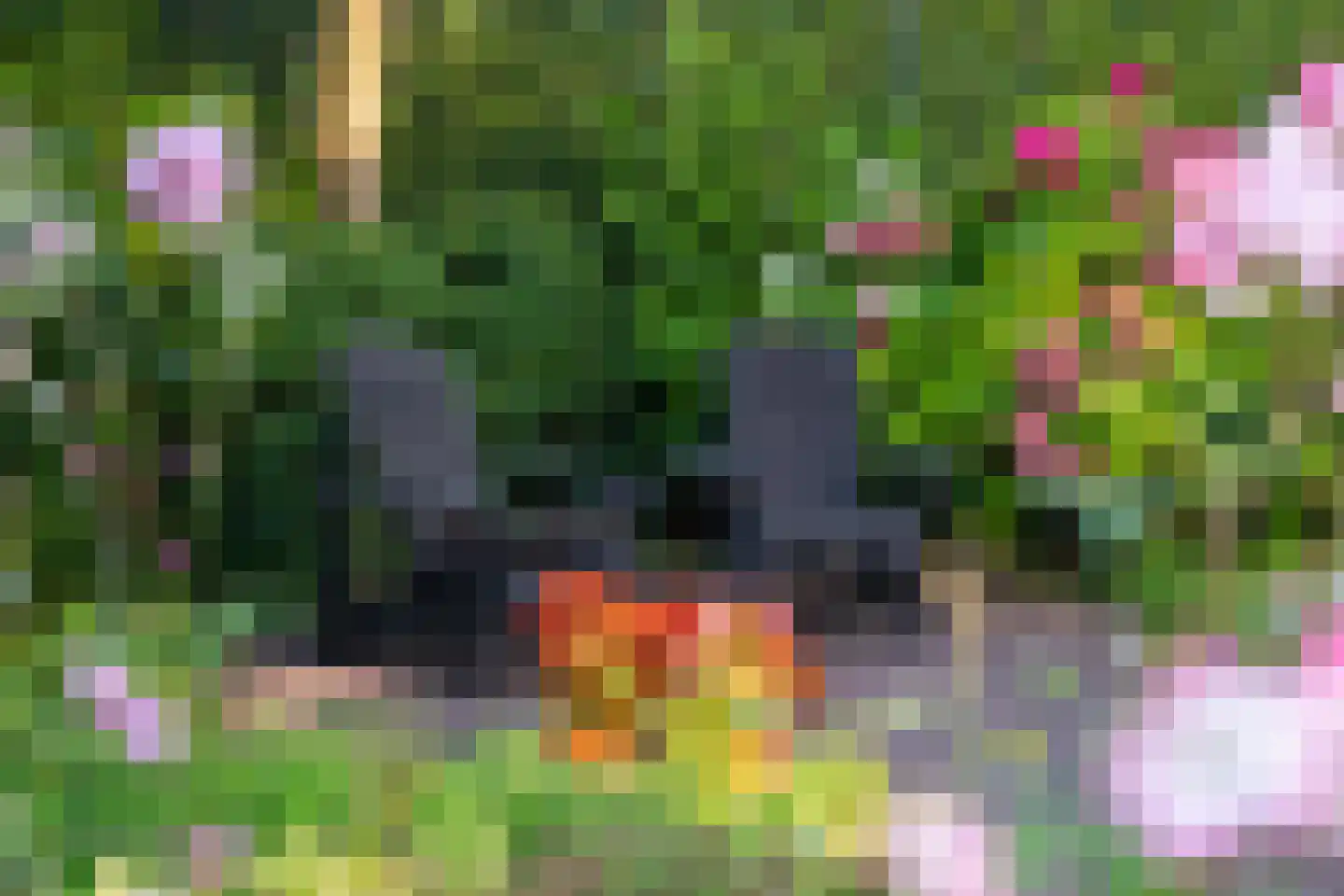 Morgenerf 5 Abcoude thumbnail 75