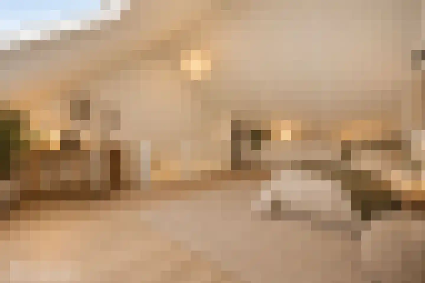 Morgenrood 37 Arnhem thumbnail 29