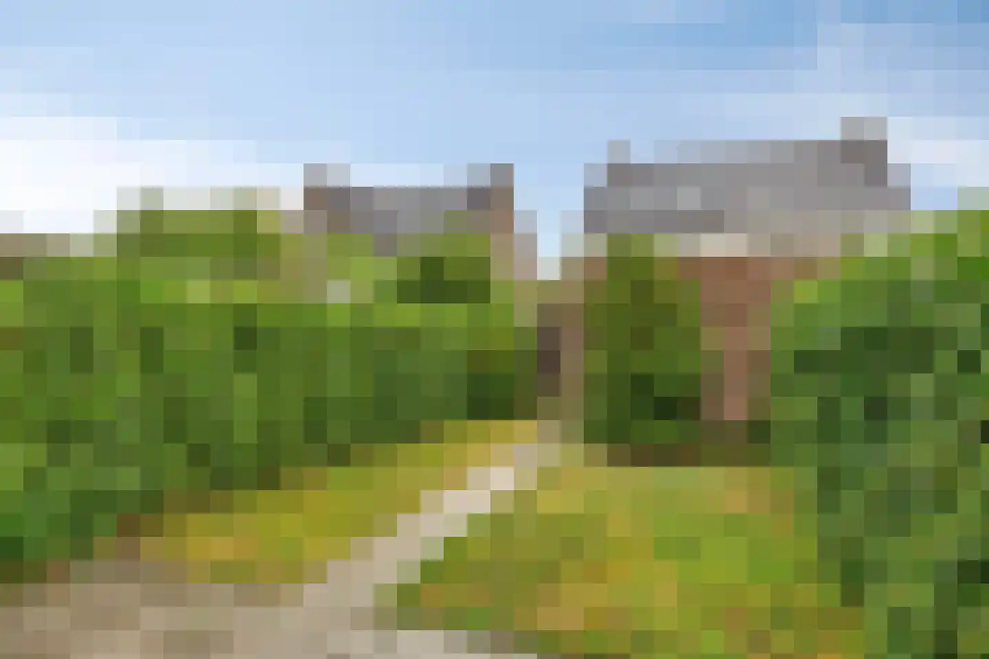 Morgenrood 37 Arnhem thumbnail 4