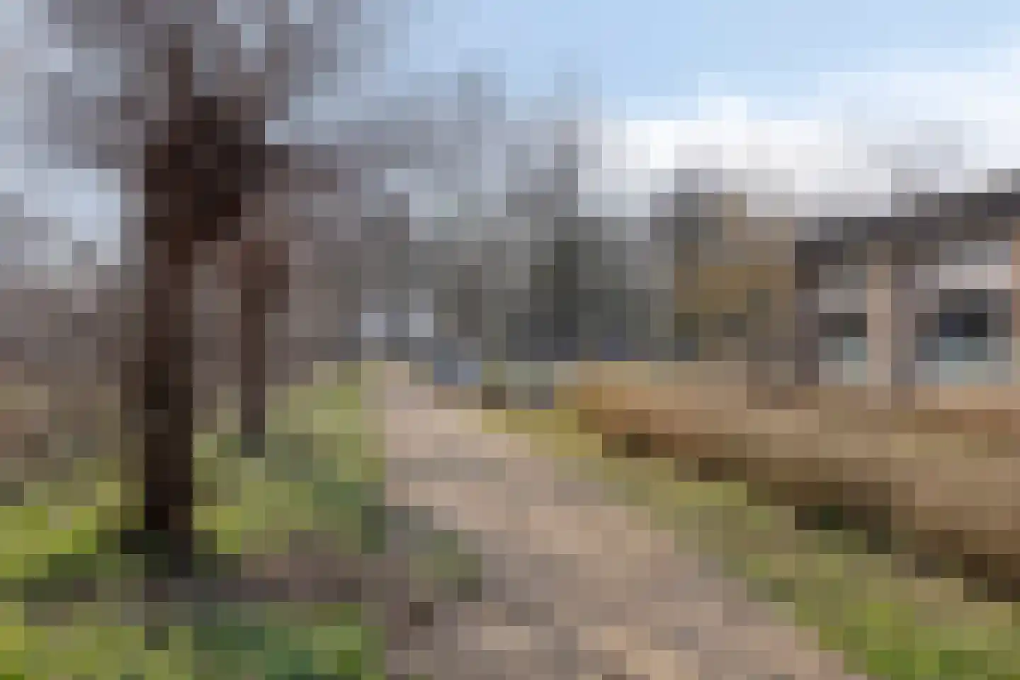 Morgenroodstraat 30 Eindhoven thumbnail 43