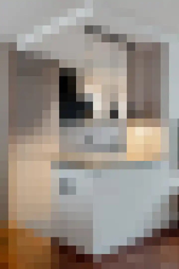 Morgenruwe 7 Maastricht thumbnail 10