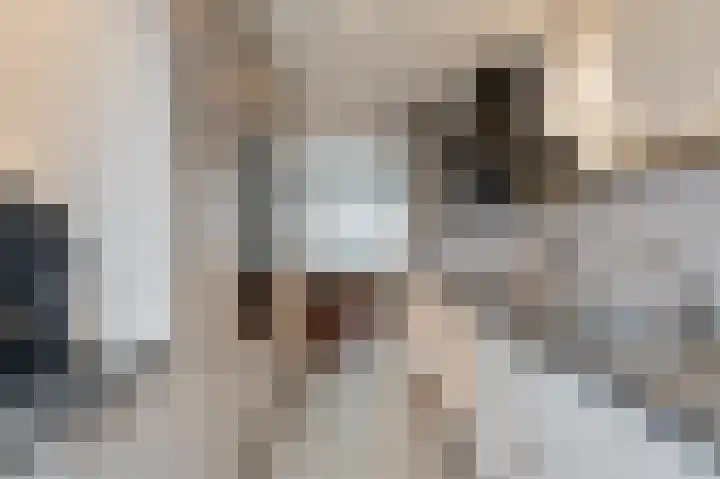 Morgenruwe 7 Maastricht thumbnail 11