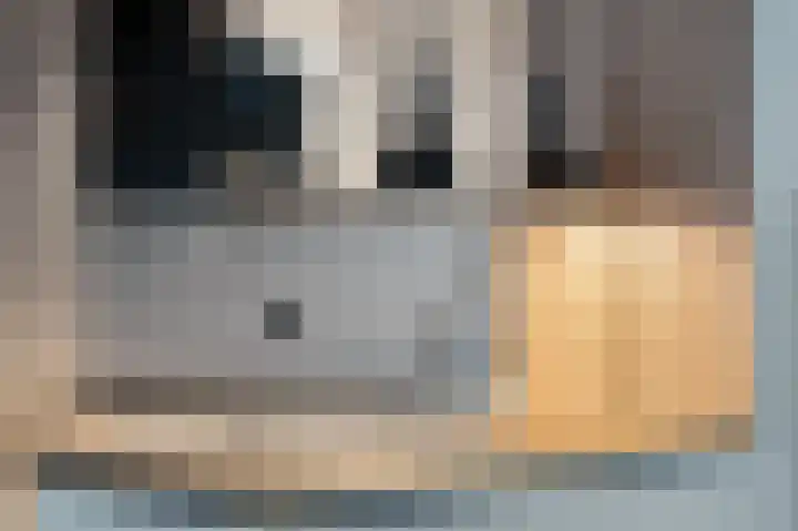 Morgenruwe 7 Maastricht thumbnail 19