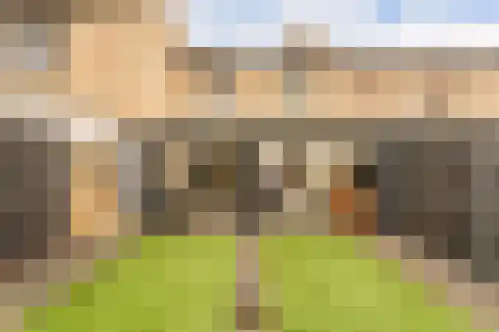 Morgenruwe 7 Maastricht thumbnail 32