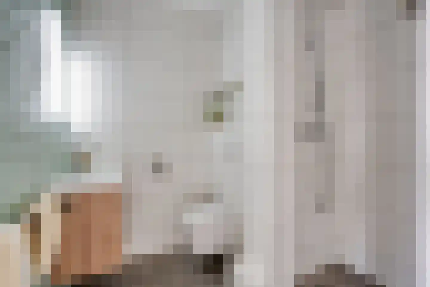 Morgenstarstraat 65 Zaandijk thumbnail 15