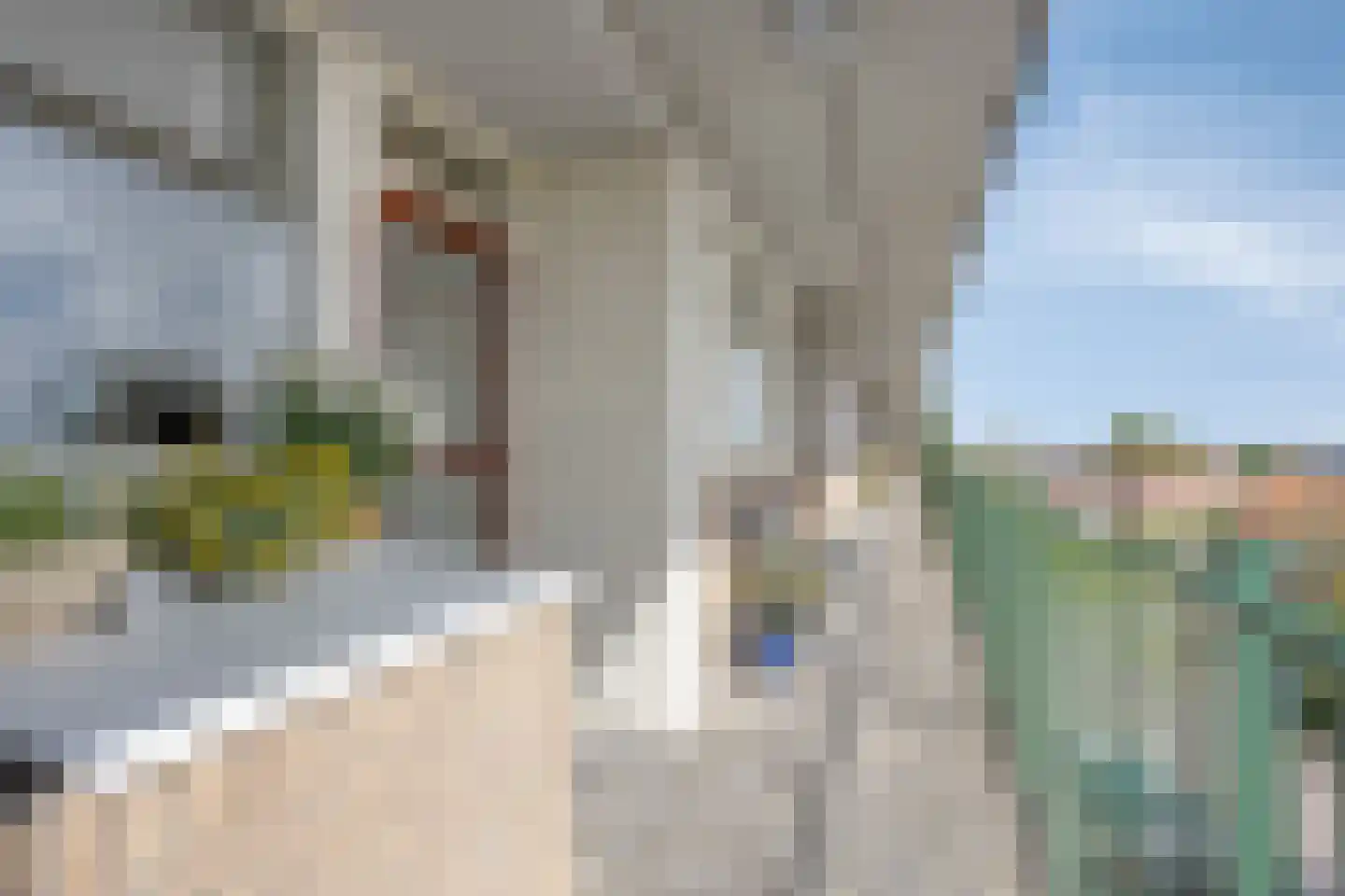 Morgenstarstraat 65 Zaandijk thumbnail 19