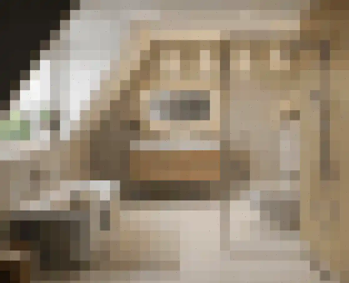 Morgenster 12 Beek en Donk thumbnail 11