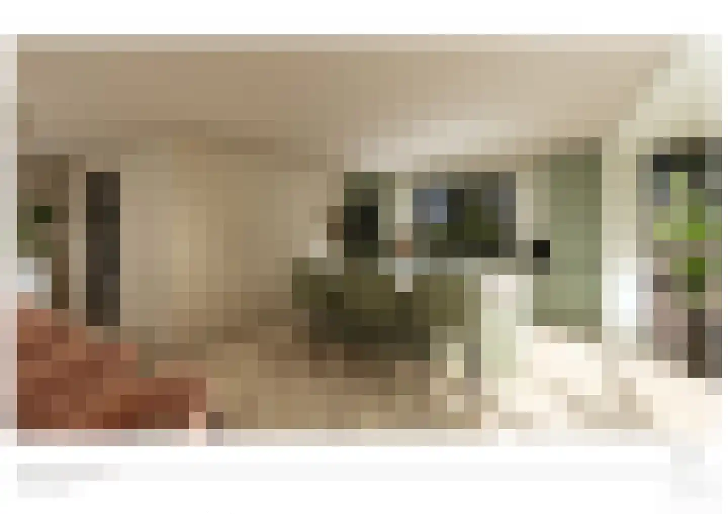 Morgenster 12 Beek en Donk thumbnail 9