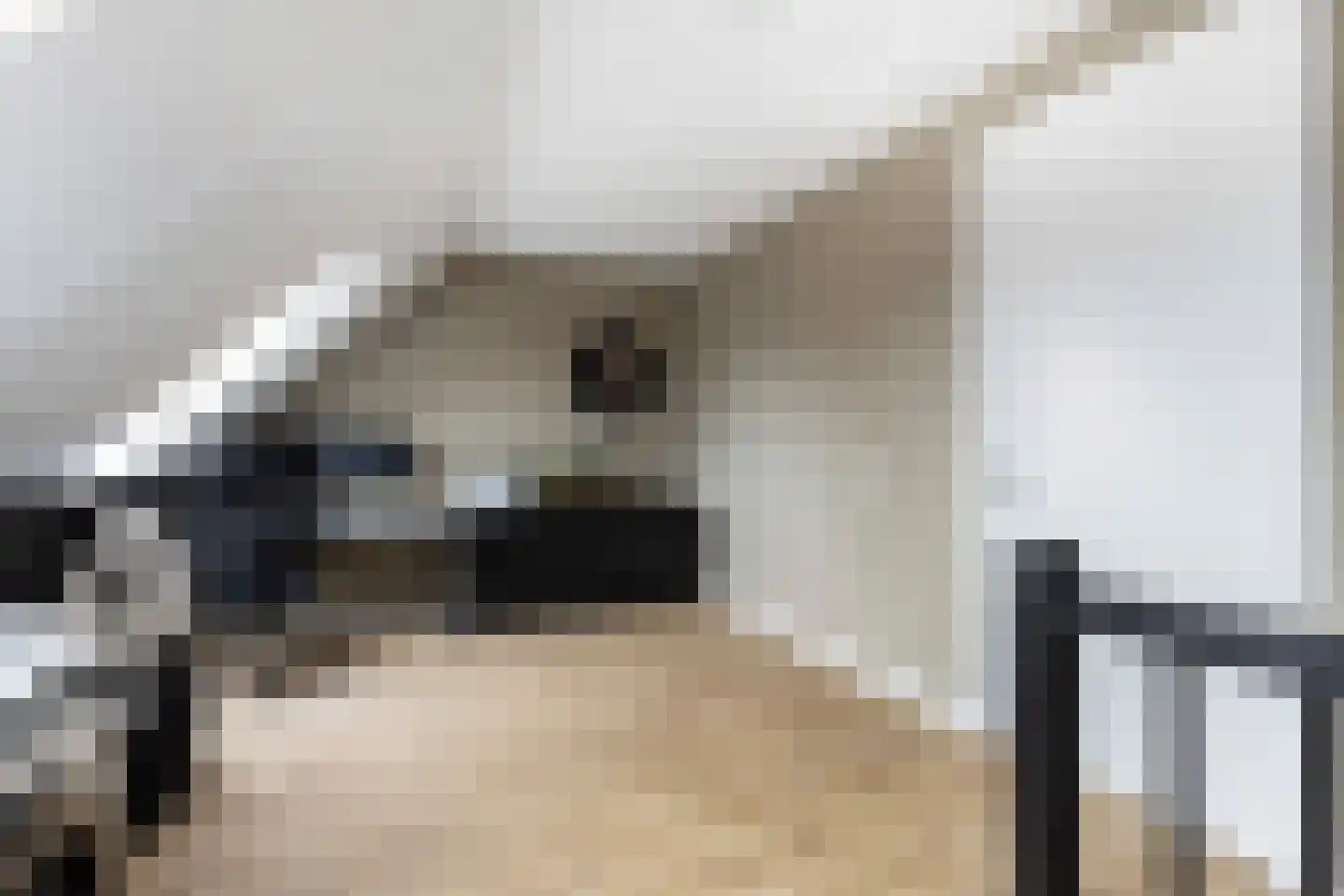 Morgenster 13 Montfoort thumbnail 31