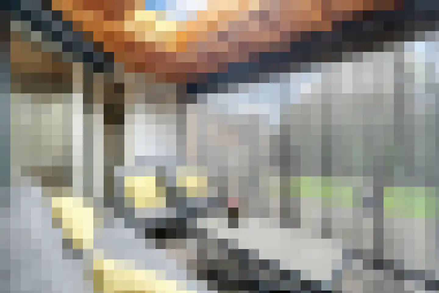 Morgenster 16 Nijverdal thumbnail 12
