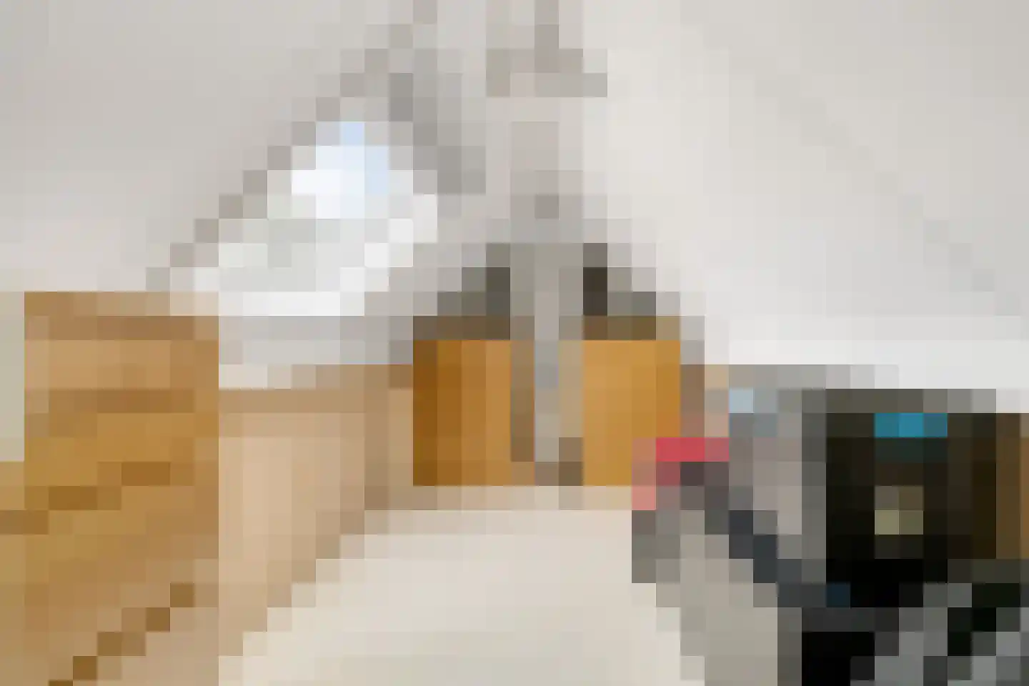 Morgenster 16 Nijverdal thumbnail 29