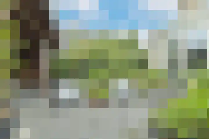 Morgenster 2 Barendrecht thumbnail 37