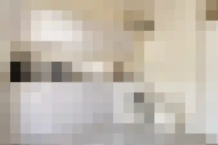 Morgenster 3 Nijverdal thumbnail 13