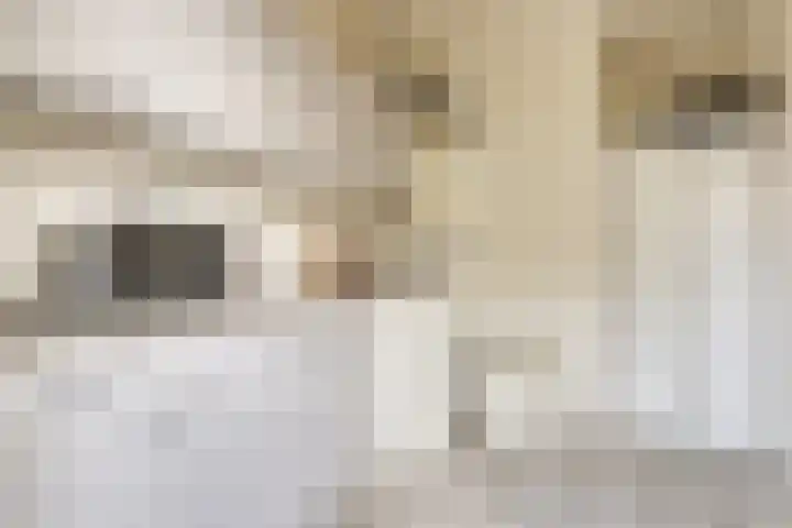 Morgenster 3 Nijverdal thumbnail 14