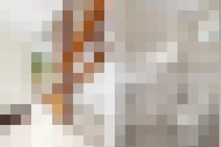 Morgenster 3 Nijverdal thumbnail 16