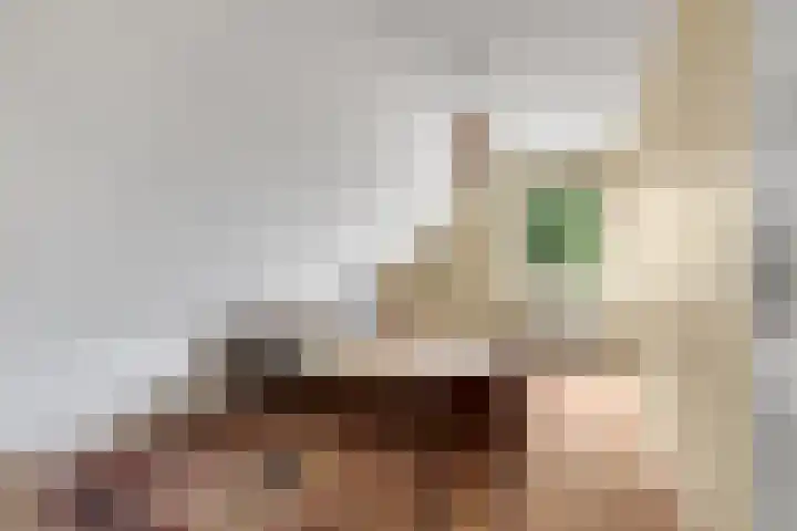 Morgenster 3 Nijverdal thumbnail 20