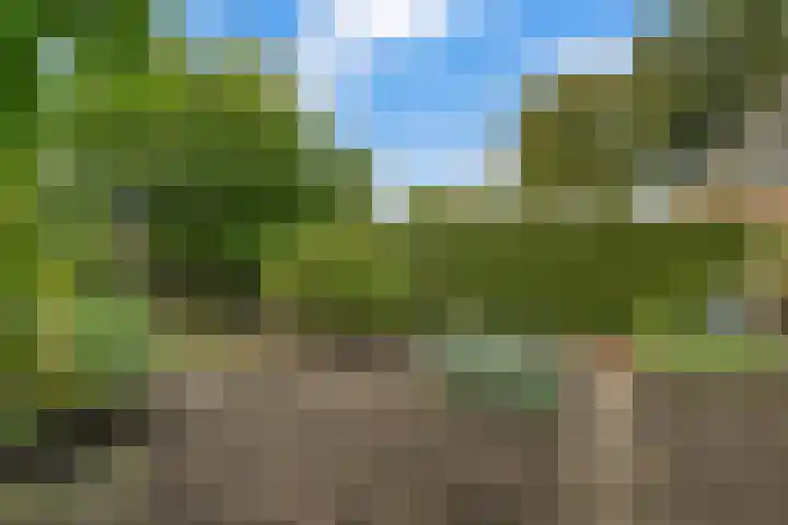 Morgenster 3 Nijverdal thumbnail 31