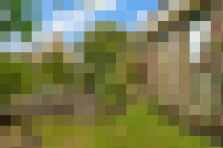 Morgenster 3 Nijverdal thumbnail 32