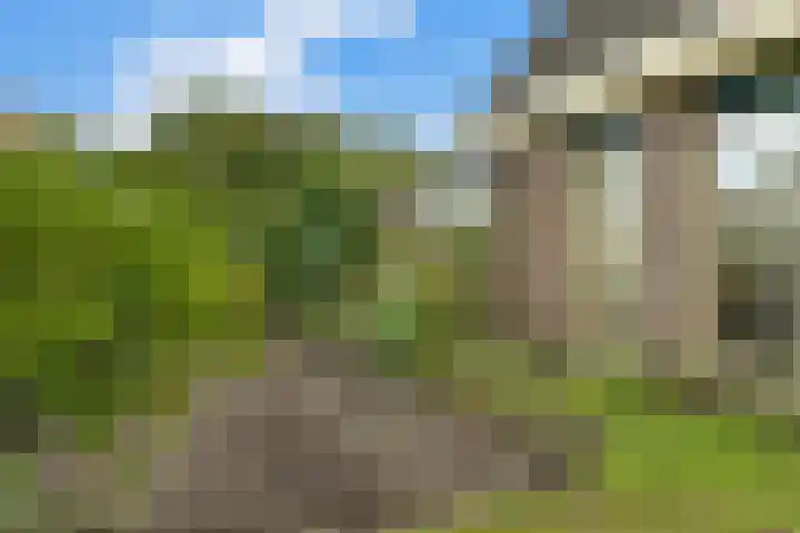 Morgenster 3 Nijverdal thumbnail 33