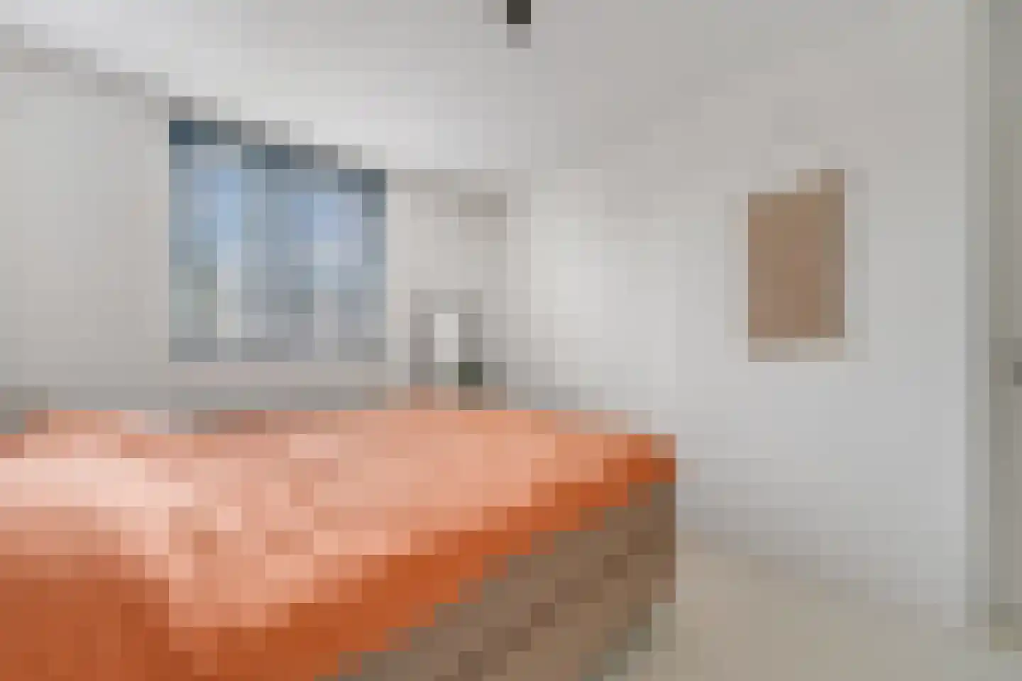 Morgenster 32 Nijverdal thumbnail 19