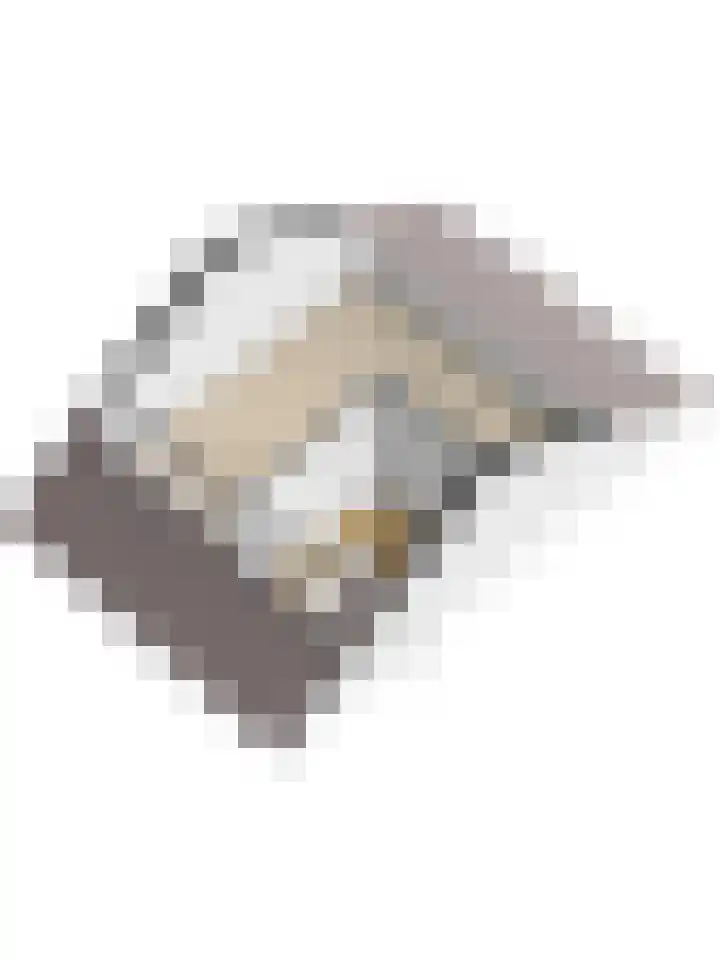 Morgenster 34 Nijverdal thumbnail 21