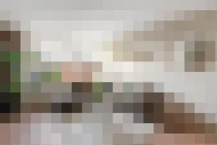 Morgenster 34 Nijverdal thumbnail 4