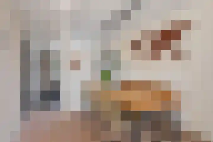 Morgenster 34 Nijverdal thumbnail 6