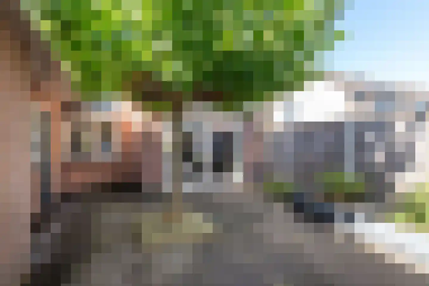 Morgenster 36 Nijverdal thumbnail 35