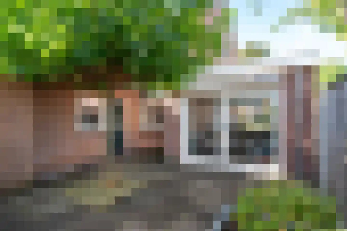 Morgenster 36 Nijverdal thumbnail 37