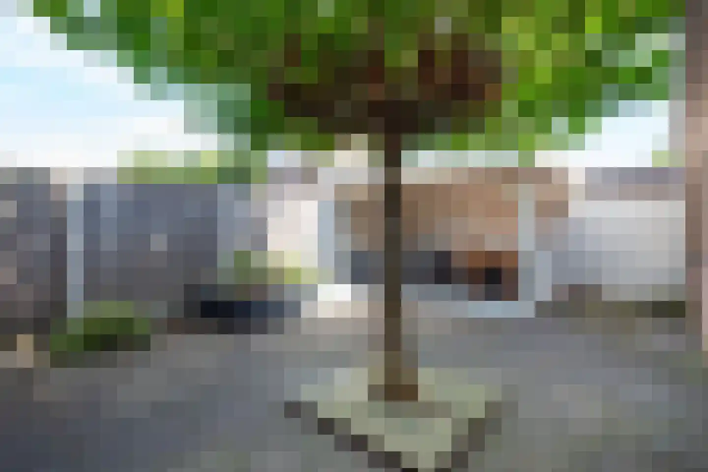 Morgenster 36 Nijverdal thumbnail 38