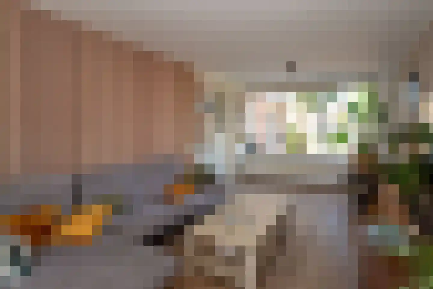 Morgenster 36 Nijverdal thumbnail 5