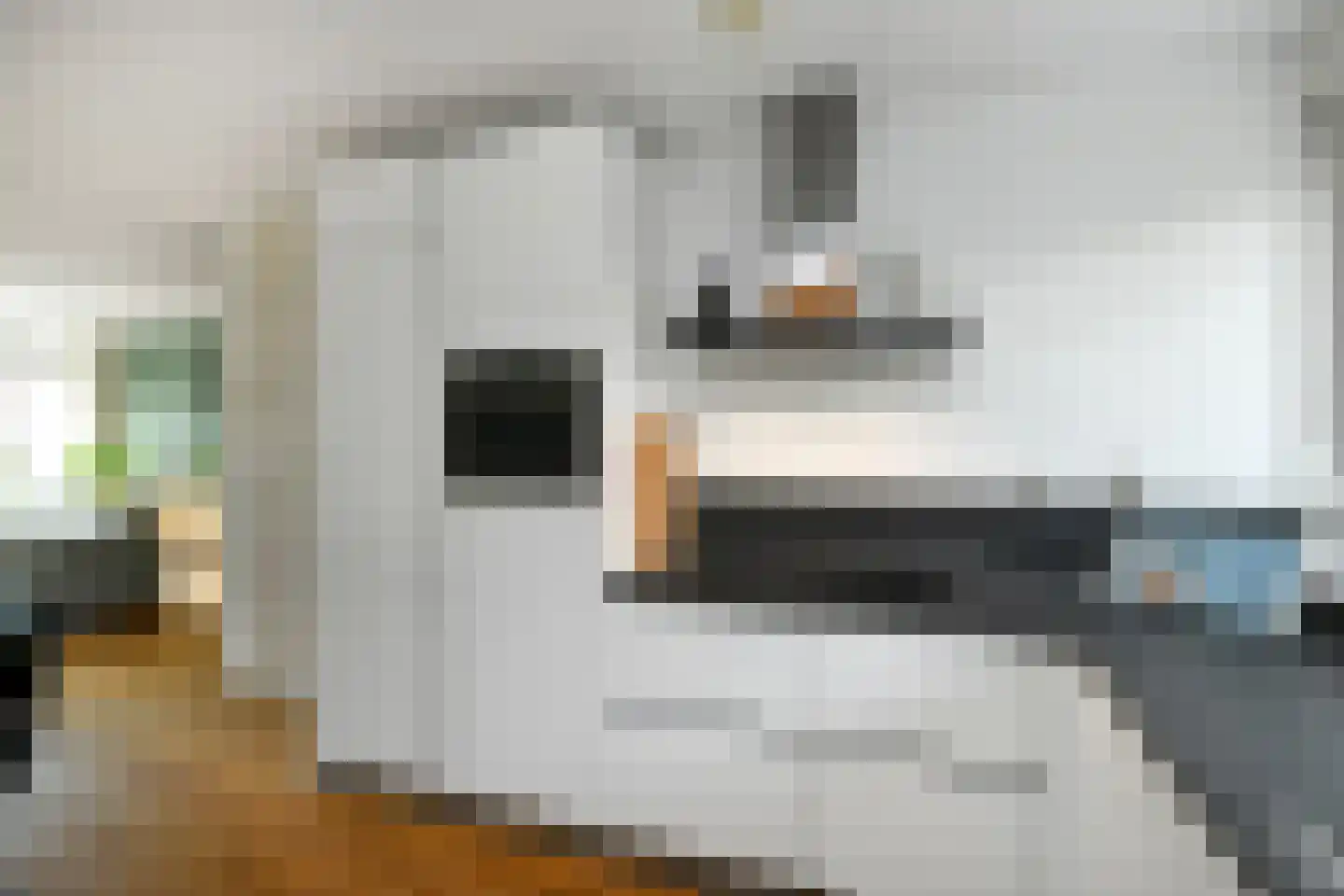Morgenster 40 Elst thumbnail 16