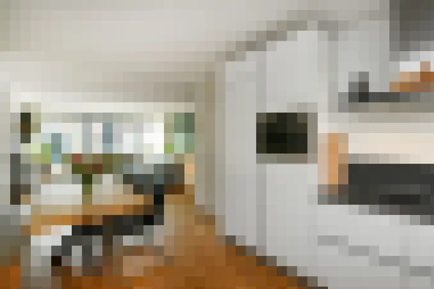 Morgenster 40 Elst thumbnail 17