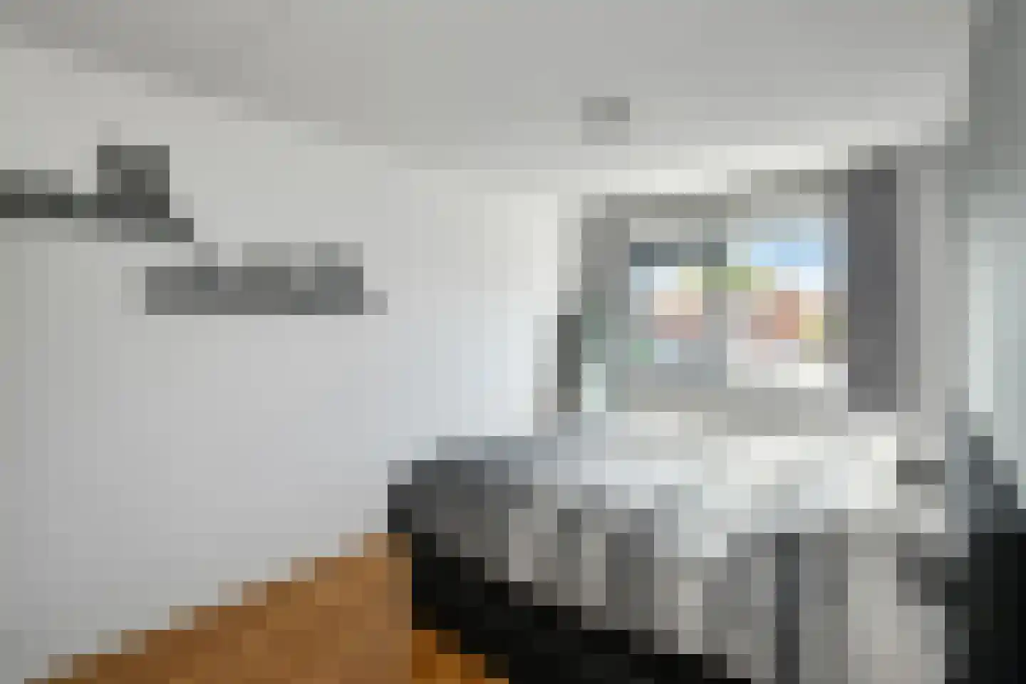 Morgenster 40 Elst thumbnail 20