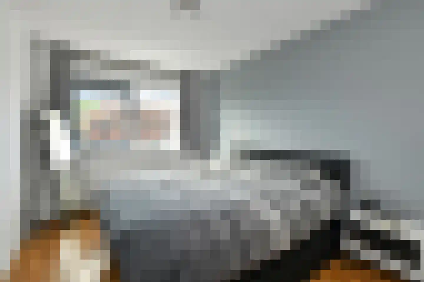 Morgenster 40 Elst thumbnail 21