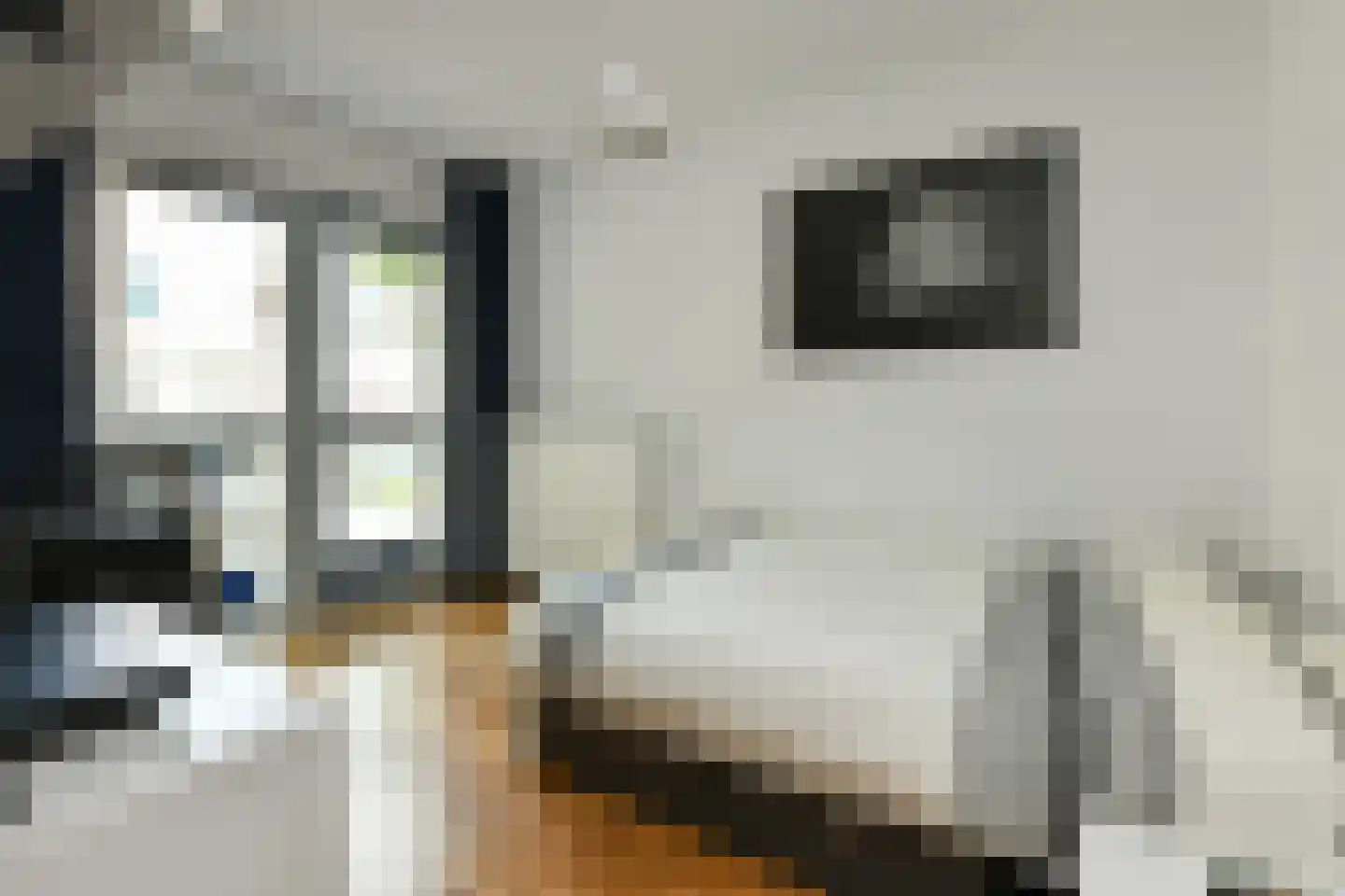 Morgenster 40 Elst thumbnail 22