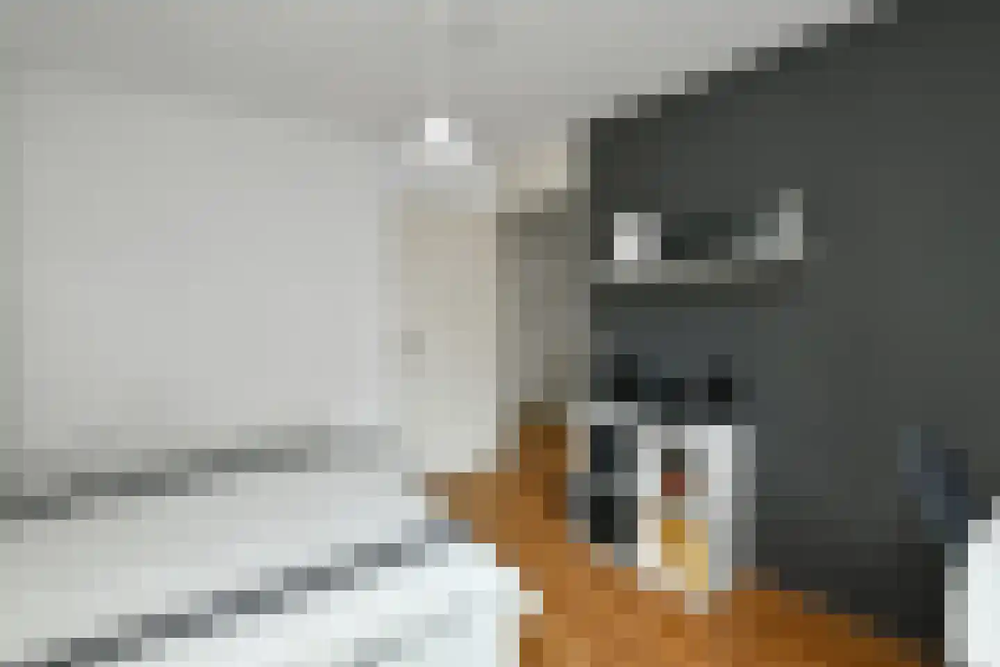 Morgenster 40 Elst thumbnail 23