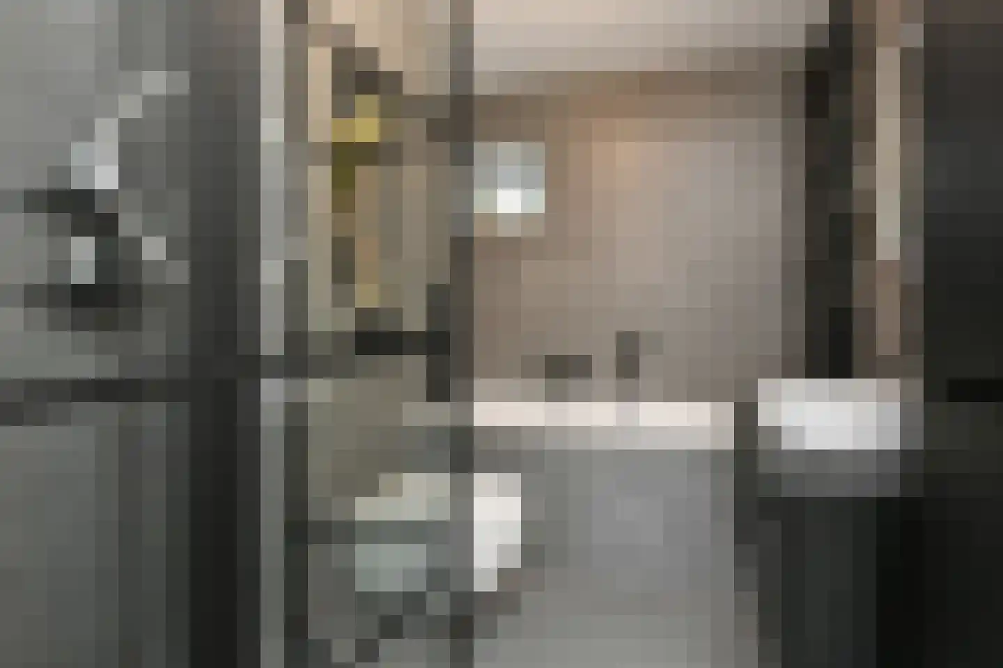 Morgenster 40 Elst thumbnail 25