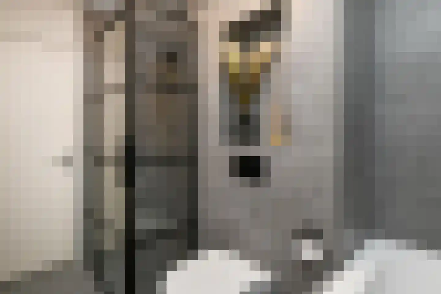 Morgenster 40 Elst thumbnail 27
