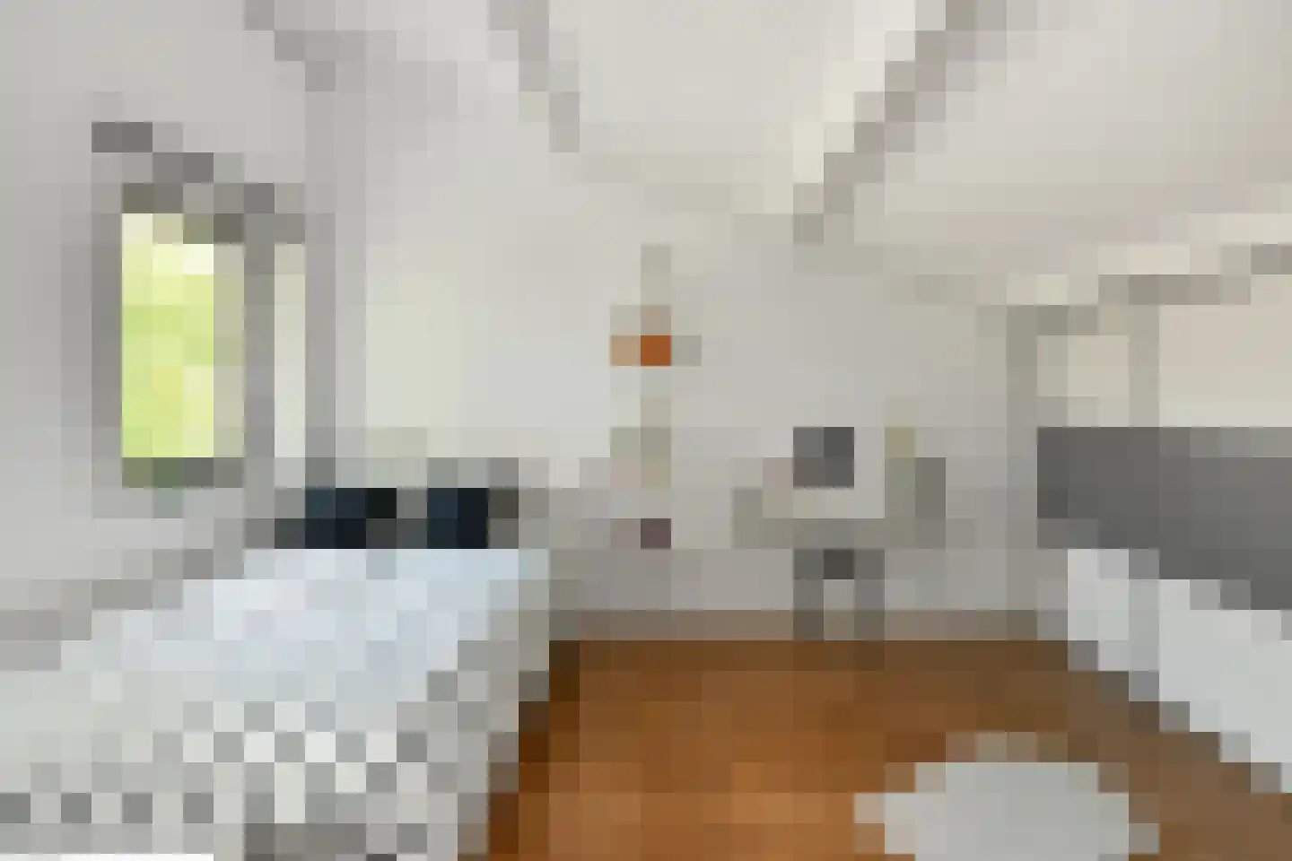 Morgenster 40 Elst thumbnail 30