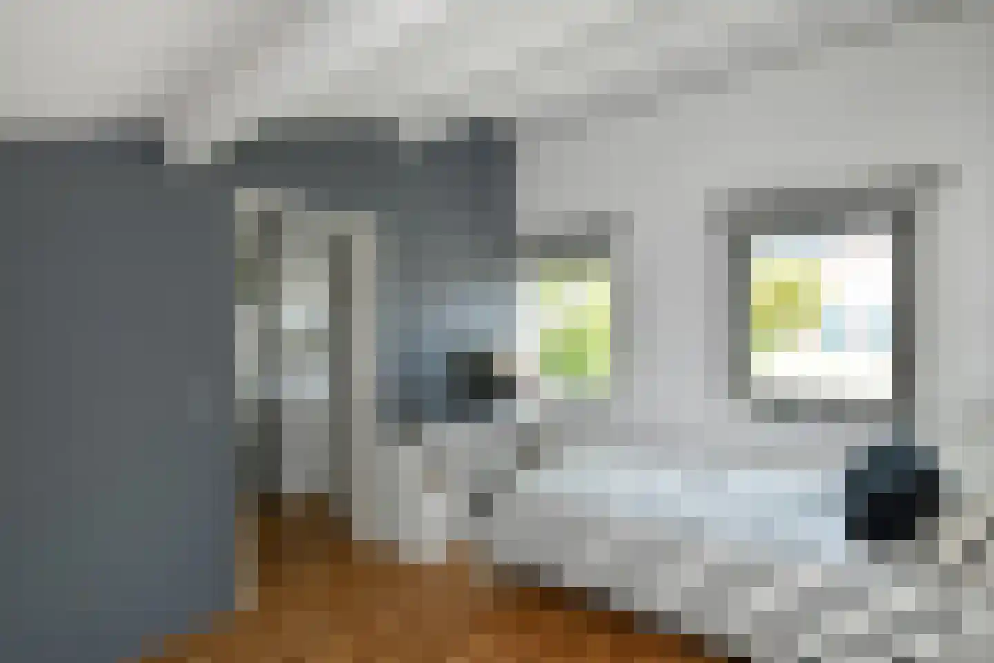 Morgenster 40 Elst thumbnail 32