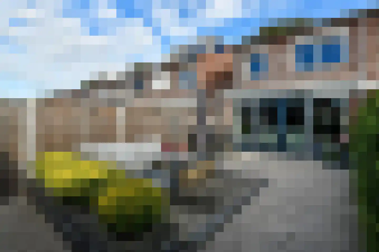 Morgenster 40 Elst thumbnail 36