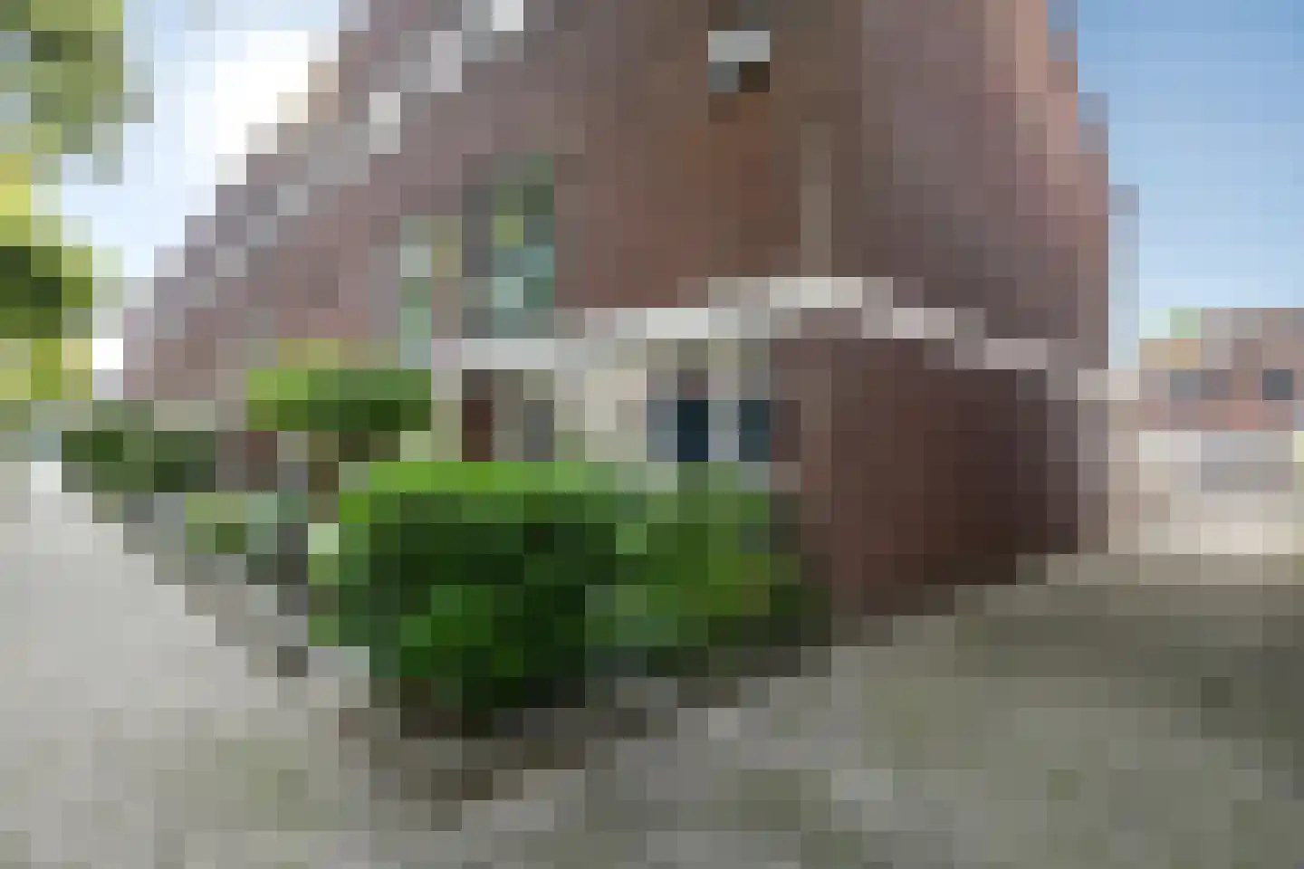 Morgenster 40 Elst thumbnail 39
