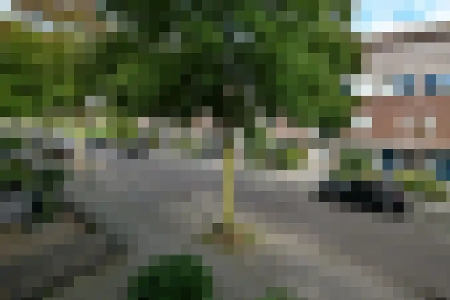 Morgenster 40 Elst thumbnail 41